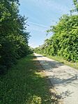 IMG_20240525_093530