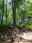 IMG_20240513_123606