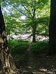 IMG_20240516_105407