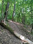 IMG_20240516_105400