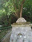 IMG_20240516_105523