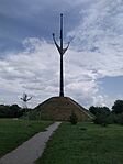 IMG_20240526_122158