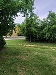 IMG_20240526_122131