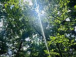 IMG_9195