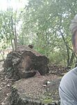 IMG_20240516_171807