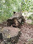 IMG_20240516_171825