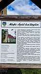 IMG_20240418_155037