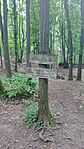 IMG_20240511_144157
