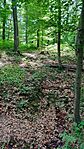 IMG_20240527_143110
