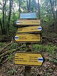 IMG_20240519_083922