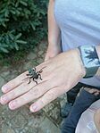 IMG-20240525-WA0016