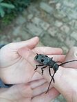 A legjobb találatunk