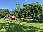 IMG_2199