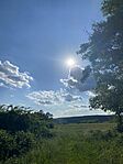 IMG_2214