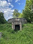 IMG_2217