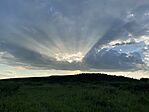 IMG_2221