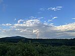 IMG_2235