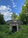 IMG_9864