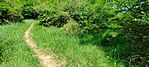 IMG_20240526_145737