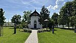 IMG_6690