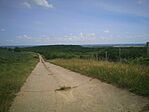 IMG_20240525_113533