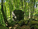 IMG_20240504_114714
