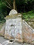 IMG_8808