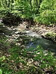 IMG_20240501_141736