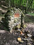 IMG_20240501_150540