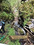 IMG_20240511_111831