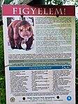 IMG_20240518_095852