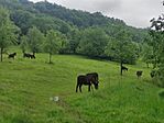 IMG_20240518_103720
