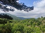 IMG_20240518_114712
