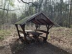 IMG_2498