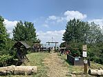 IMG_3501