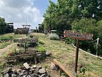 IMG_3507