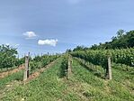 IMG_3699