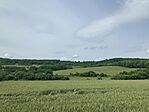 IMG_3707