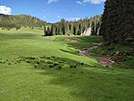IMG_20240518_165825