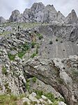 IMG_20240525_132747_1