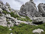 IMG_20240525_135036