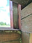 IMG_20240520_125844