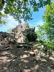 IMG_20240501_151152_370