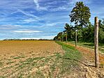 IMG_0422