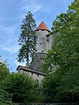 IMG_2272