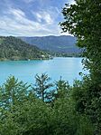 IMG_2270