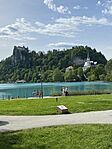 IMG_2351