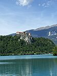 IMG_2330