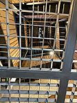 IMG_2346