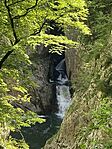 IMG_2360